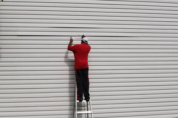 Best Stone Veneer Siding  in Purvis, MS